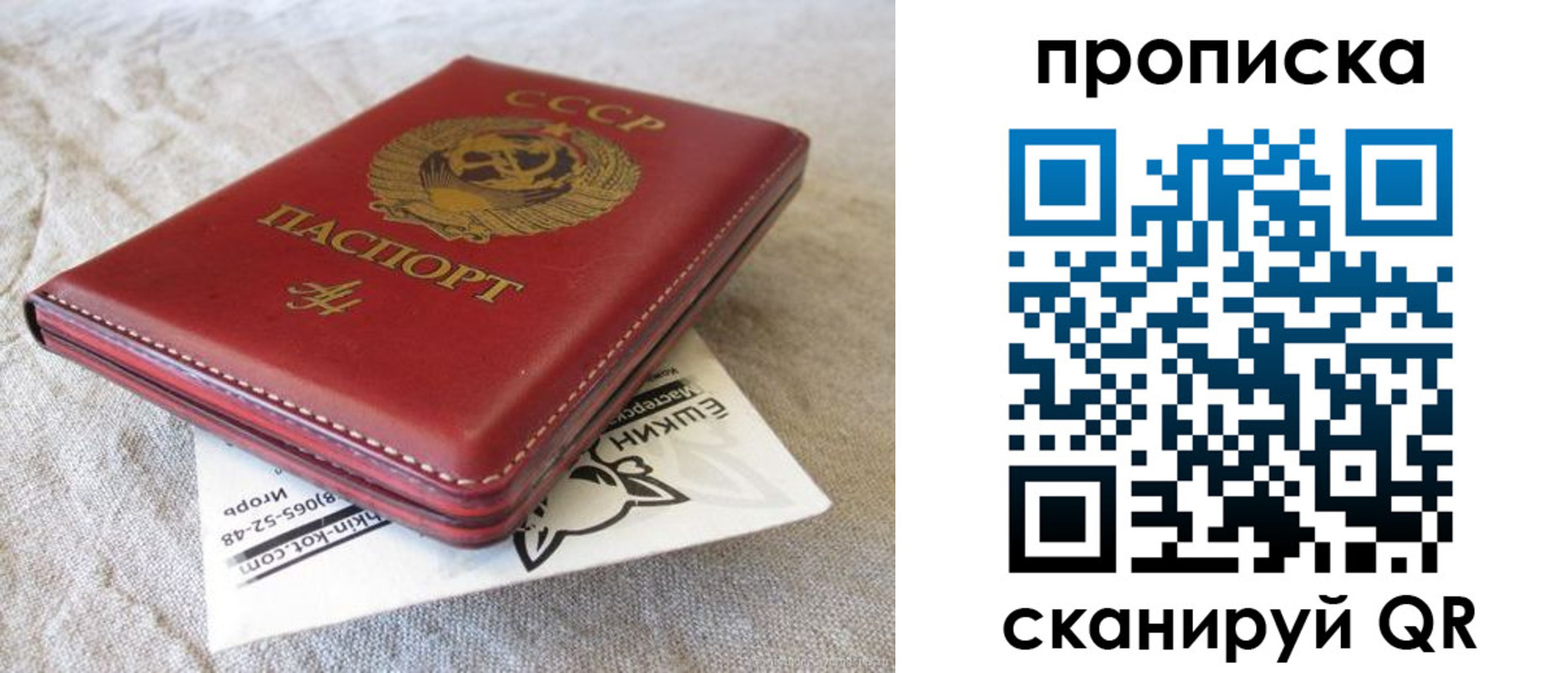 прописка для школы в Снежинске